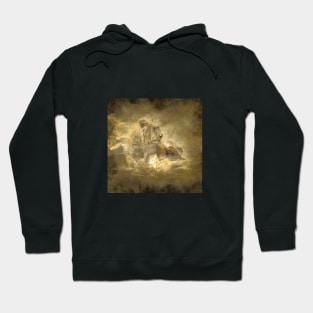 Lion Animal Wildlife Jungle Nature Safari Adventure Discovery Africa Digital Painting Hoodie